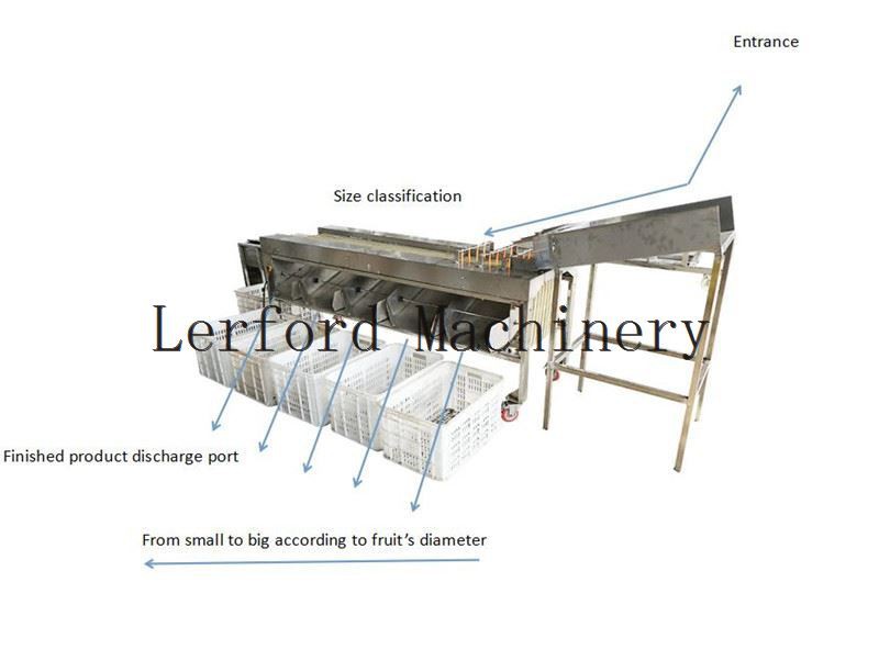 dates grading machine dates grading machine