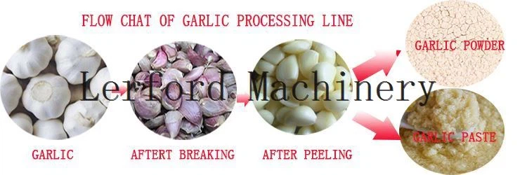 Wet Garlic Peeling Machine Wet Garlic Peeling Machine