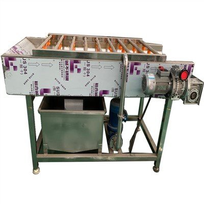 ماشین لباسشویی میوه و سبزیجات