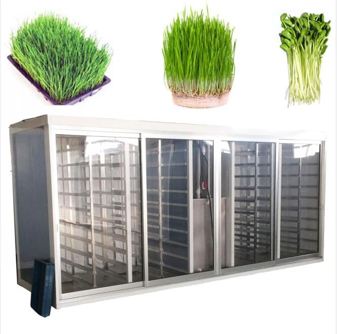 Automated Fodder System